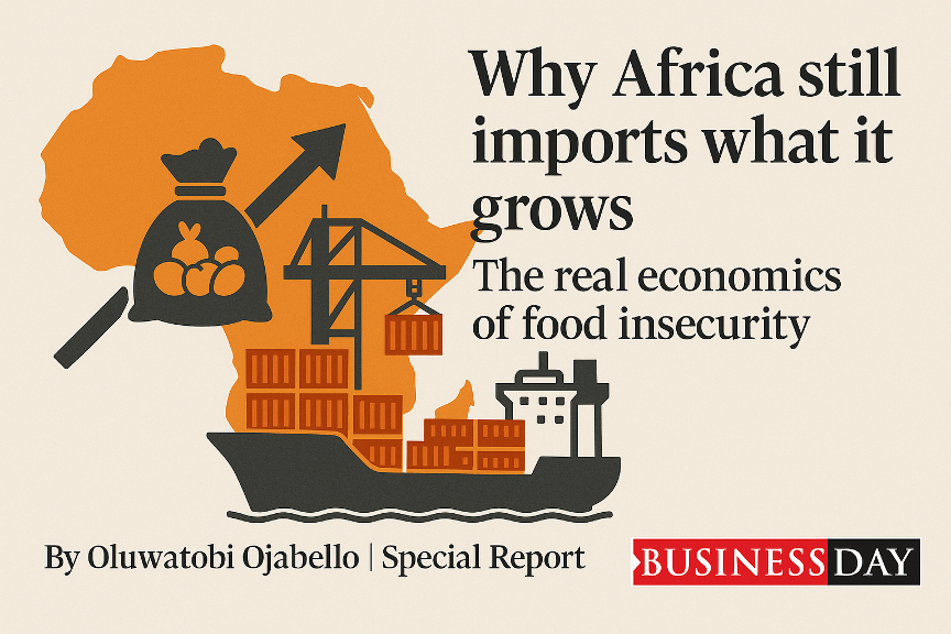 Why Africa still imports what it grows: The real economics of food insecurity