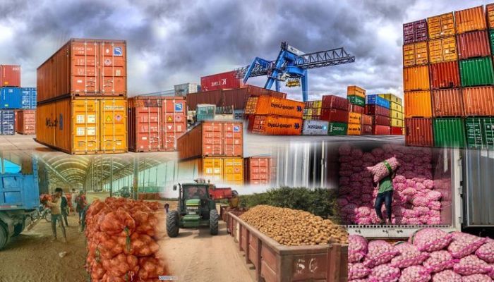 Ports, roads, levies hinder Nigeria’s non-oil export drive