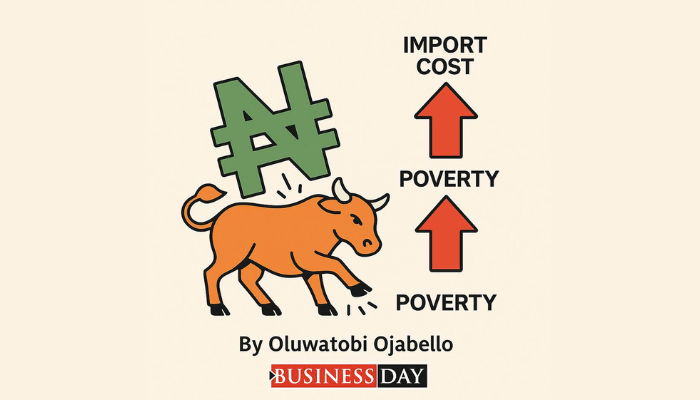 Devaluation’s deep scars on Nigerian economy