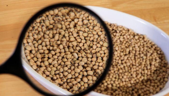 U.S. soybean exports to Nigeria surge on rising demand