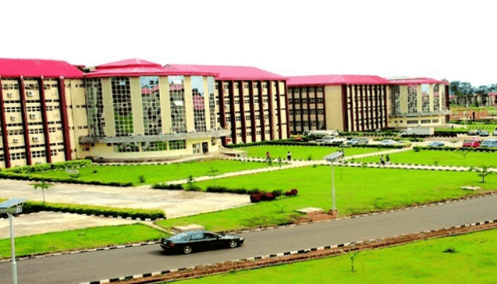 Nigeria tops in university numbers but trails in ranking