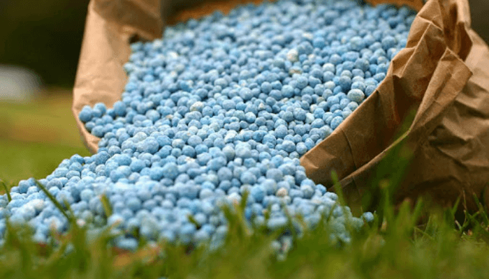 Farmers shift to cash crops as fertiliser cost jumps 41%