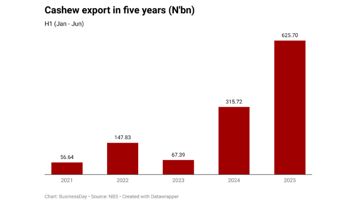 Favourable weather lifts Nigeria’s cashew earnings 11-fold