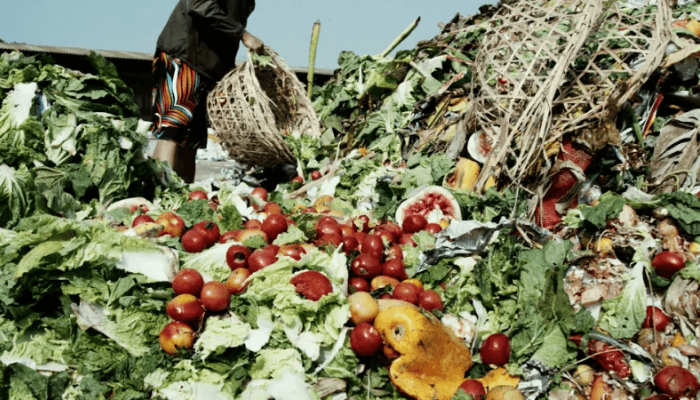 How two female innovators are reducing N3.5trn food waste
