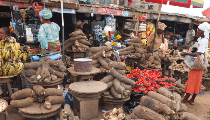 Farmers chasing urban profit fuel food inflation in rural Nigeria