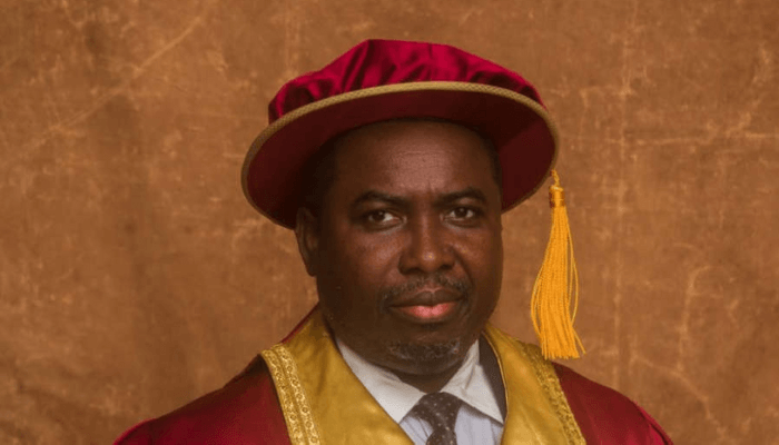 INEC’s new boss on test in Anambra, as re-election fever ravages Nigeria