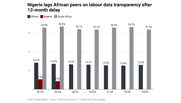 Africa’s giant delays unemployment data 14 months on