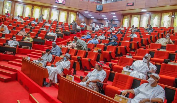 10 things that shaped the Nigerian Senate in 2025