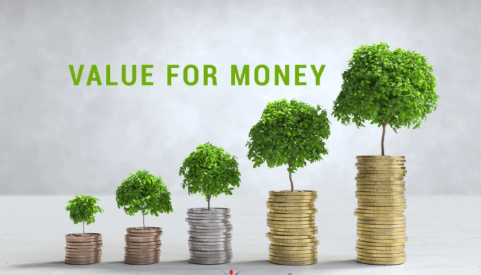 Promoting good governance through Value for Money (VFM) audit