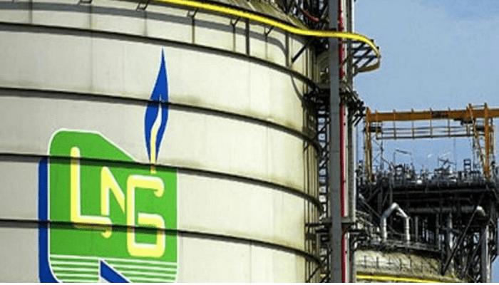 Crafting a strategy for private sector initiatives in LNG development in Nigeria