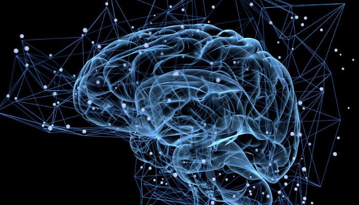 Stronger brains, stronger nations: What McKinsey’s Brain Capital framework means for Nigeria