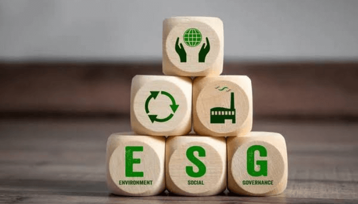 ESG capital at scale: Positioning African businesses for a $40 trillion shift