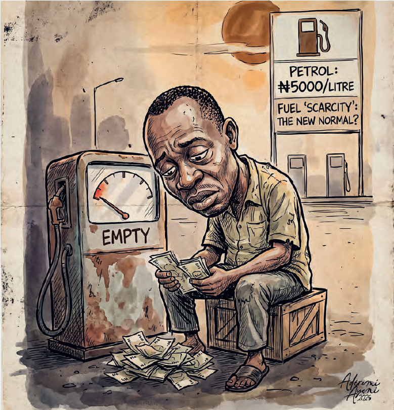 Nigeria cannot remain poor in systems while rich in resources