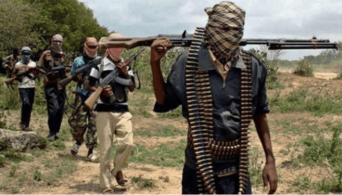 Controversy trails Nigeria’s reintegration of terrorists, bandits